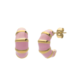 Stainless steel goldplated oorringen voor dames