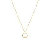 Stainless steel goldplated ketting met hanger cirkel voor dames