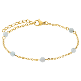 Stainless steel goldplated fantasiearmband met amazoniet voor dames
