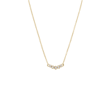 Stainless steel goldplated ketting met hanger met zirkonia voor dames