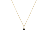 Stainless steel goldplated ketting met hanger met zirkonia voor dames