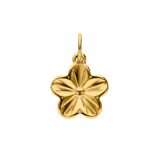 Stainless steel goldplated hanger bloem voor dames