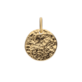 Stainless steel goldplated hanger munt voor dames