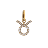 Stainless steel goldplated sterrenbeeldhanger Stier met zirkonia voor dames