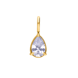 Stainless steel goldplated hanger druppel met zirkonia voor dames