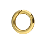 Stainless steel goldplated bedel sluiting voor dames