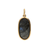 Stainless steel goldplated hanger met semi-precious voor dames