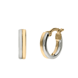 9 karaat oorbellen bicolor