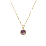 Stainless steel goldplated ketting met hanger met amethyst voor dames