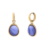 Stainless steel goldplated oorringen met blue lace agaat voor dames