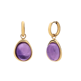 Stainless steel goldplated oorringen met amethyst voor dames