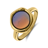 Stainless steel goldplated ring met opaal