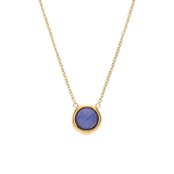 Stainless steel goldplated ketting met hanger met blue lace agaat voor dames