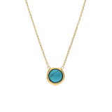 Stainless steel goldplated ketting met hanger met turquoise voor dames
