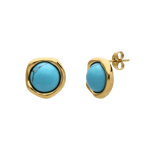 Stainless steel goldplated oorknoppen met turquoise voor dames