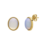 Stainless steel goldplated oorbellen met opaal