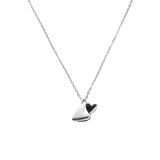 Stainless steel ketting met 2 hartjes voor dames