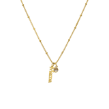 Stainless steel goldplated ketting met hanger mama met zirkonia voor dames