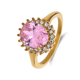 Stainless steel goldplated ring met zirkonia voor dames