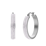 Stainless steel oorringen met kristal