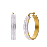 Stainless steel goldplated oorringen met kristal