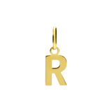 14 karaat gouden letter hanger alfabet