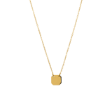 Stainless steel goldplated ketting met hanger voor dames