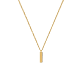 Stainless steel goldplating ketting met hanger voor dames