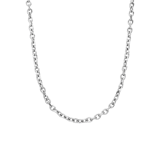 Stainless steel herenketting gourmetschakel