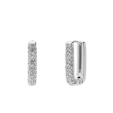 Stainless steel oorringen met kristal voor dames