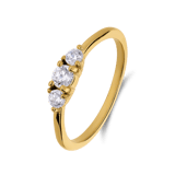 Stainless steel goldplated ring met zirkonia voor dames