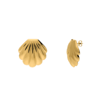 Stainless steel goldplated oorknoppen schelp