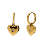 Stainless steel oorringen met zirkonia voor dames