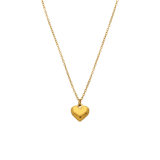 Stainless steel ketting met hanger voor dames