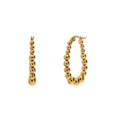 Stainless steel goldplated oorringen bol