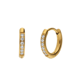 Stainless steel oorringen met zirkonia voor dames