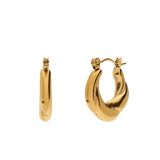 Stainless steel oorringen voor dames