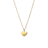 Stainless steel ketting met hanger hart voor dames