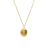 Stainless steel ketting met medaillon ovaal met zirkonia voor dames