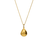 Stainless steel ketting met hanger medaillon met zirkonia voor dames