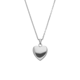 Stainless steel ketting met ashanger hart voor dames