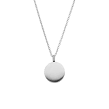 Stainless steel ketting met ashanger