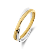 Silberner Bicolor-Ring