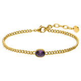 Stainless steel armband met geboortesteen zirkonia voor dames