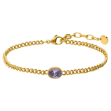 Stainless steel armband met geboortesteen zirkonia voor dames