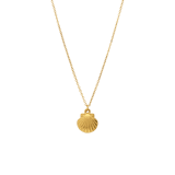 Stainless steel ketting met hanger schelp voor dames