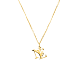 Stainless steel naamketting met hanger letters voor dames