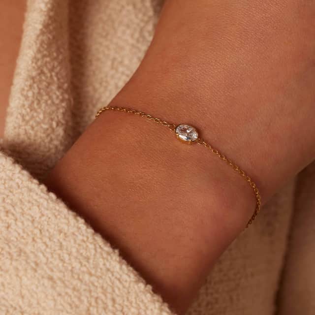 Stainless steel goldplated armband met zirkonia