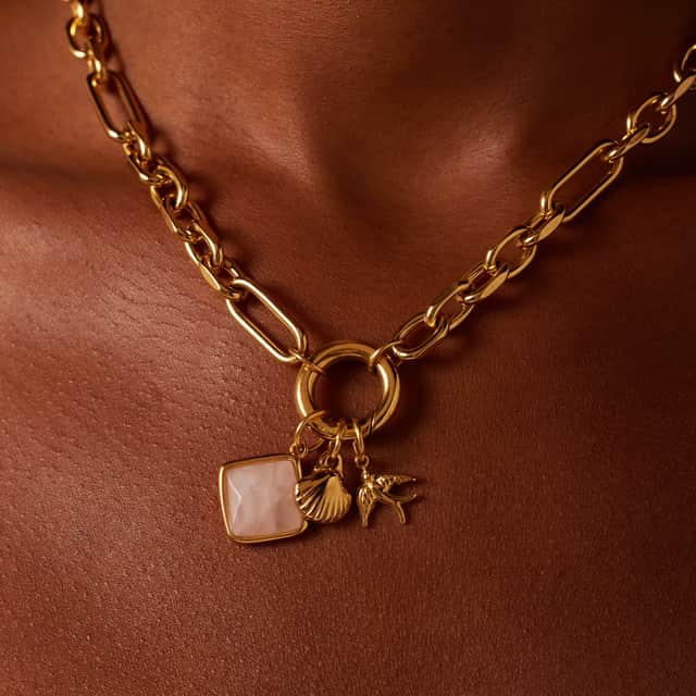 Stainless steel goldplated bedel zwaluw
