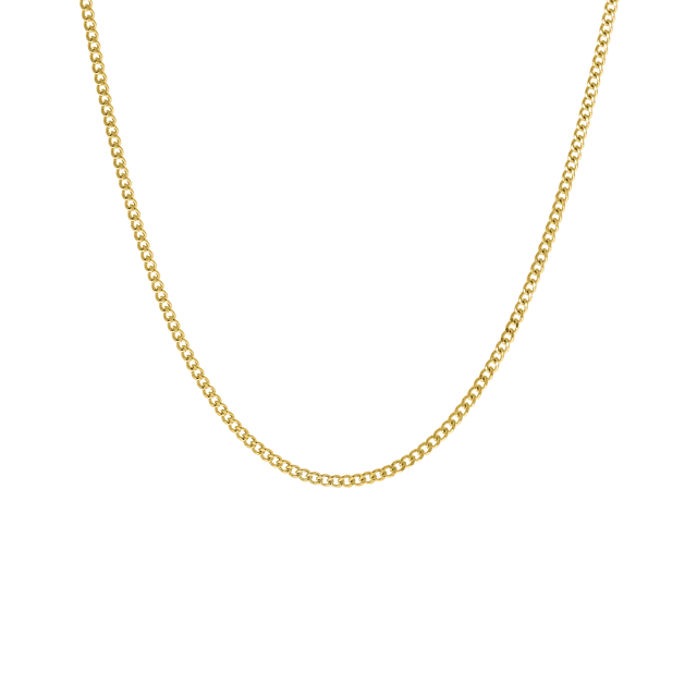 14 karaat gouden ketting gourmet 1,00mm voor dames
